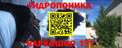 бошки Тверь