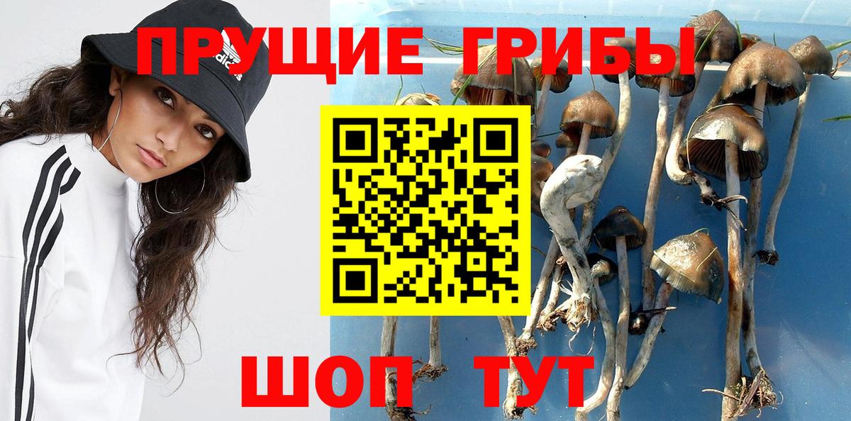Галлюциногенные грибы мицелий Новоуральск