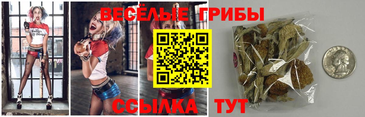 Новоуральск  Псилоцибиновые грибы мухоморы  Псилоцибиновые грибы Magic Shrooms  Вход с VPN 